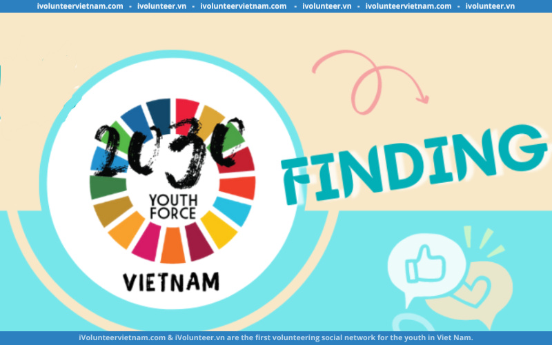 2030 Youth Force Vietnam Tuyển Tình Nguyện Viên Truyền Thông, Trợ Lý Cá Nhân, Trợ Lý Đối Ngoại