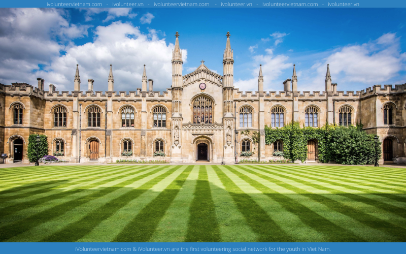 Học Bổng Toàn Phần MBA Từ Boustany Foundation Tại Đại Học Cambridge 2023