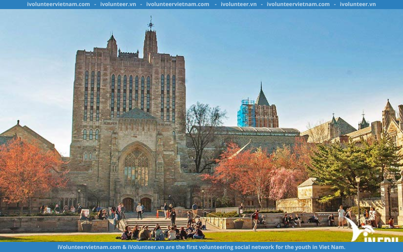 Học Bổng Toàn Phần Và Bán Phần Ngắn Hạn Chương Trình Học Thuật Hè Từ The Yale Young Global Scholars 2023 Tại Đại Học Yale