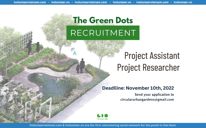 Dự Án The Green Dots Tìm Bạn Đồng Hành Cho Vị Trí Project Assistant/ Project Researcher