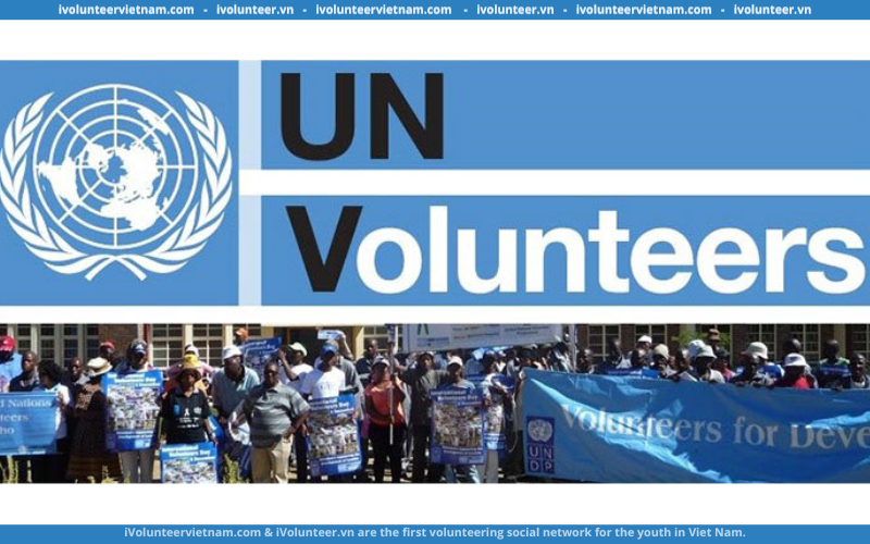 Chương Trình Tình Nguyện Liên Hợp Quốc UN Volunteers (UNV) Tuyển Dụng Tình Nguyện Viên Dạy Tiếng Anh Part-time 2022