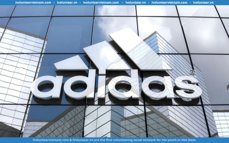 Adidas Việt Nam Tuyển Dụng Thực Tập Sinh Manufacturing Excellence Apparel Full-time