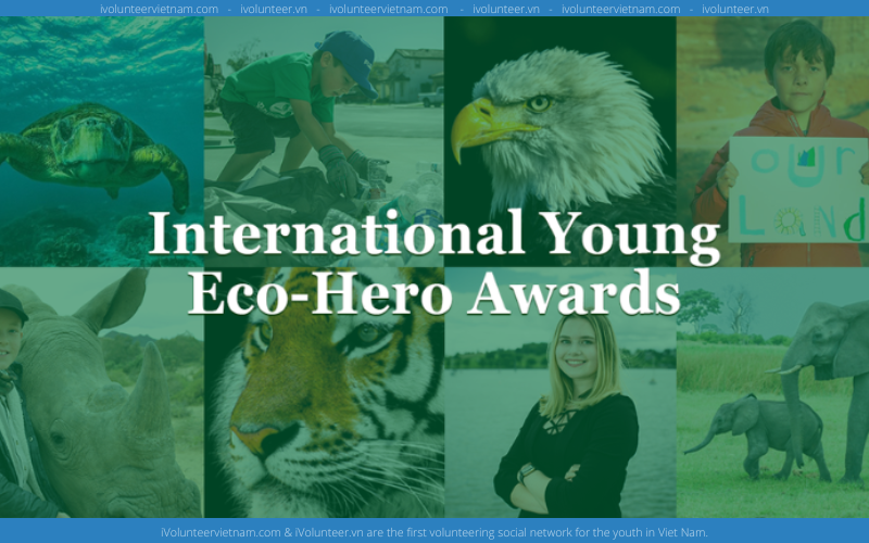 Cuộc Thi Môi Trường International Eco-Hero Awards For Young Environmentalists 2023