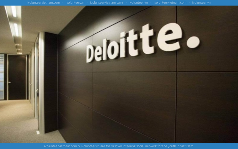 Công Ty Lớn Về Kiểm Toán Deloitte Tuyển Thực Tập Sinh IT & Specialized Assurance