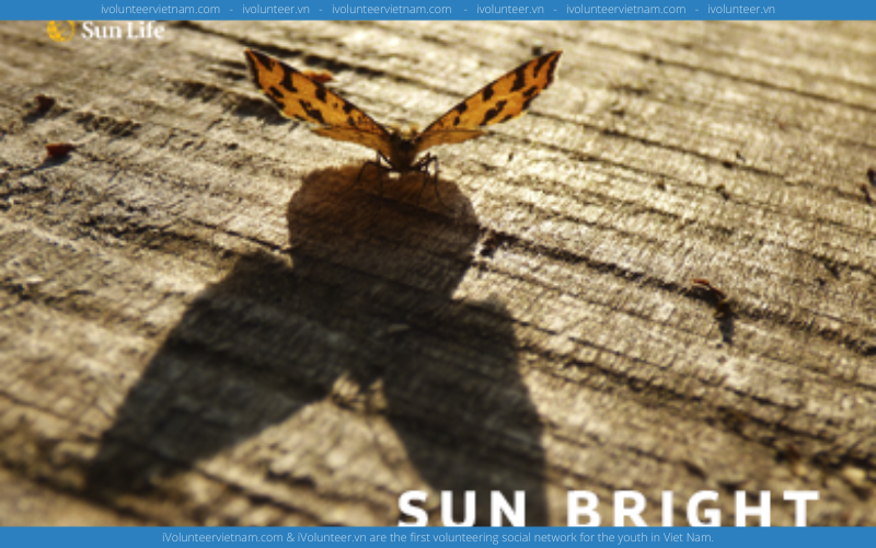 Chương Trình Phát Triển Nhân Tài Sun Bright Của Tập Đoàn Hàng Đầu Thế Giới Về Bảo Hiểm Sun Life Mở Đơn Đăng Ký