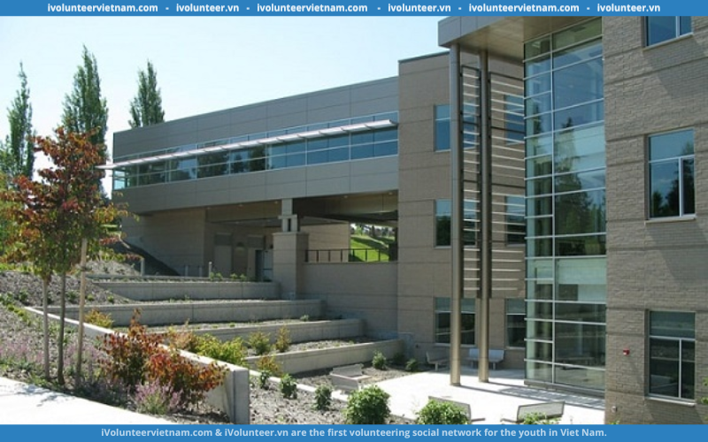 Học Bổng Bán Phần Bậc Cử Nhân Tại Viện Công Nghệ Lake Washington 2023