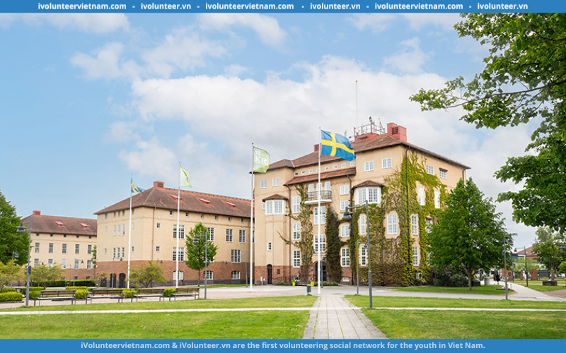 Học Bổng Toàn Phần Học Phí Bậc Thạc Sĩ Tại Đại Học Kristianstad 2023