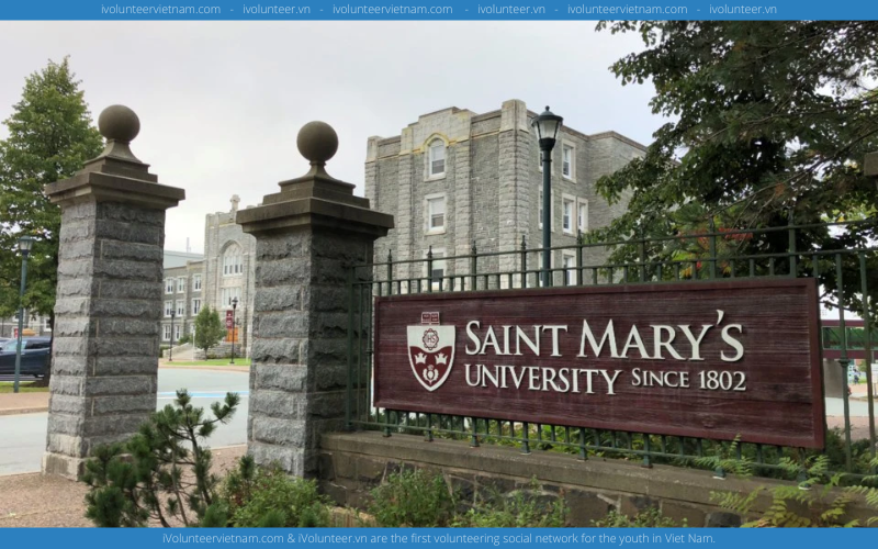 Học Bổng Sobey National Innovator Dành Cho Sinh Viên Cử Nhân Thương Mại Tại Saint Mary’s University