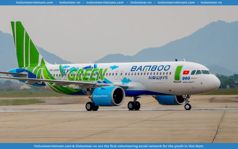 Hãng Hàng Không Bamboo Airways Tuyển Thực Tập Sinh Kế Toán
