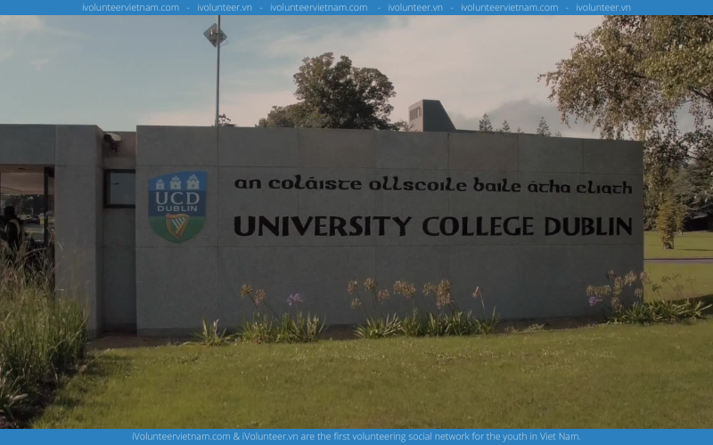 Học Bổng UCD Global Excellence Scholarships Tại Đại Học University College Dublin