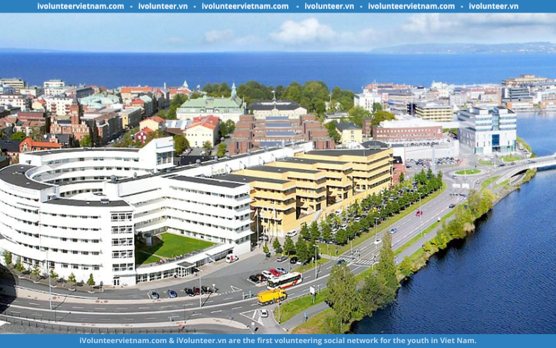 Học Bổng Thụy Điển Tại Trường Đại Học Jönköping Bậc Cử Nhân, Thạc Sĩ Năm Học 2023 - 2024