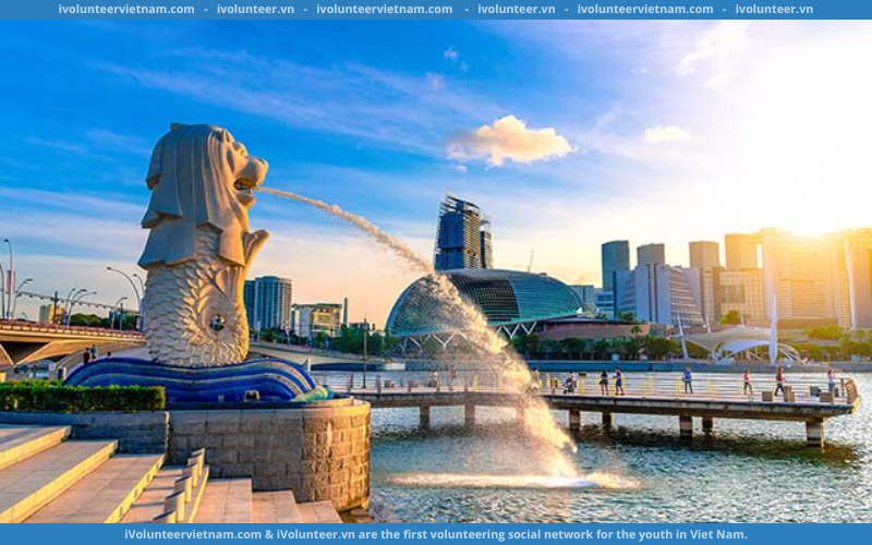 Học Bổng ASEAN Toàn Phần Của Chính Phủ Singapore Mở Đơn Đăng Ký Dành Cho Học Sinh Việt Nam
