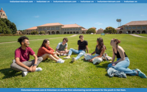 Khóa Học Online Về Kỹ Năng Phân Tích Tổ Chức, Cơ Quan Từ Đại Học Stanford