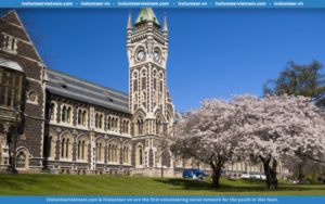 Học Bổng Toàn Phần Bậc Thạc Sĩ Tại Trường Đại Học Otago Tại New Zealand 2023￼