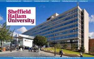 Học Bổng Transform Together Của Trường Đại Học Sheffield Hallam Cho Bậc Đại Học Và Thạc Sĩ