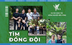 Dự Án Canh Tác Nông Nghiệp Bền Vững Việt Nam Tuyển Cộng Tác Viên Truyền Thông