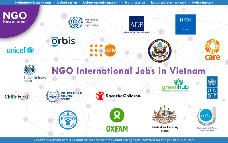 Dự Án NGO Recruitment Tuyển Tình Nguyện Viên Online 2023 (Có Giấy Chứng Nhận Sau 7 Ngày Làm Việc)