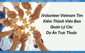 iVolunteer Vietnam Tìm Kiếm Thành Viên Ban Quản Lý Các Dự Án Trực Thuộc 