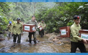 Tổ Chức Phi Lợi Nhuận Save Vietnam’ s Wildlife Tuyển Dụng Quản Lý Giáo Dục Và Nâng Cao Nhận Thức