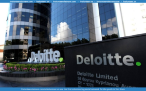 Deloitte Tuyển Dụng Thực Tập Sinh Phân Tích Kiểm Toán