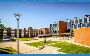 Học Bổng Bán Phần Bậc Cử Nhân Tại Đại Học Sussex Anh Quốc 2024