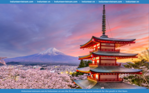 Chương Trình Thực Tập Ngắn Hạn 2024 Do Bộ Kinh Tế Và Công Thương Nhật Bản (METI) Tổ Chức