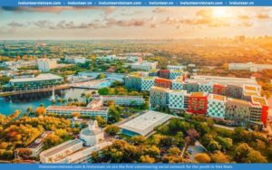 Học Bổng Toàn Phần Bậc Cử Nhân Stamps Của Đại Học Miami Chính Thức Mở Đơn Đăng Ký
