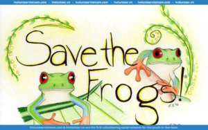 Cuộc Thi Nghệ Thuật Save The Frogs! Mở Đơn Tham Gia 2024