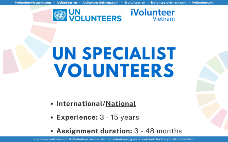 Bạn Có Phải Là Một “UN Specialist Volunteer” Mà Tổ Chức Tình Nguyện Liên Hợp Quốc Đang Tìm Kiếm? 