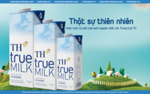 TH Food Chain Tuyển Dụng Nhân Viên Trưng Bày Hàng Hóa