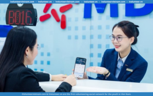 MB Bank Tuyển Dụng Chuyên Viên Tập Sự Khách Hàng Doanh Nghiệp