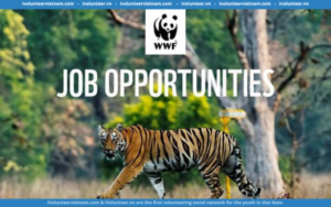 WWF Vietnam Tuyển Dụng Cán Bộ Truyền Thông Cao Cấp