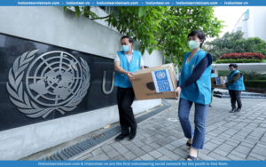 UNDP Chính Thức Mở Đơn Tuyển Dụng Cán Bộ Dự Án