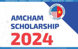 Học Bổng AMCHAM Scholarship 2024 Dành Cho Sinh Viên Việt Nam Mở Đơn