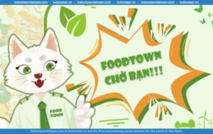 Dự Án Food Town Mở Đơn Tuyển Cộng Tác Viên Và Đại Sứ Truyền Thông 2024