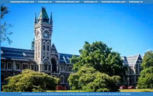 Học Bổng International Partnership Năm 2025 Tại Đại Học Otago, New Zealand