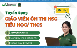 Language Link Tuyển Dụng Giáo Viên Ôn Thi Học Sinh Giỏi Trực Tuyến